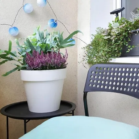 公寓 Apartament Sloneczny 格丁尼亚